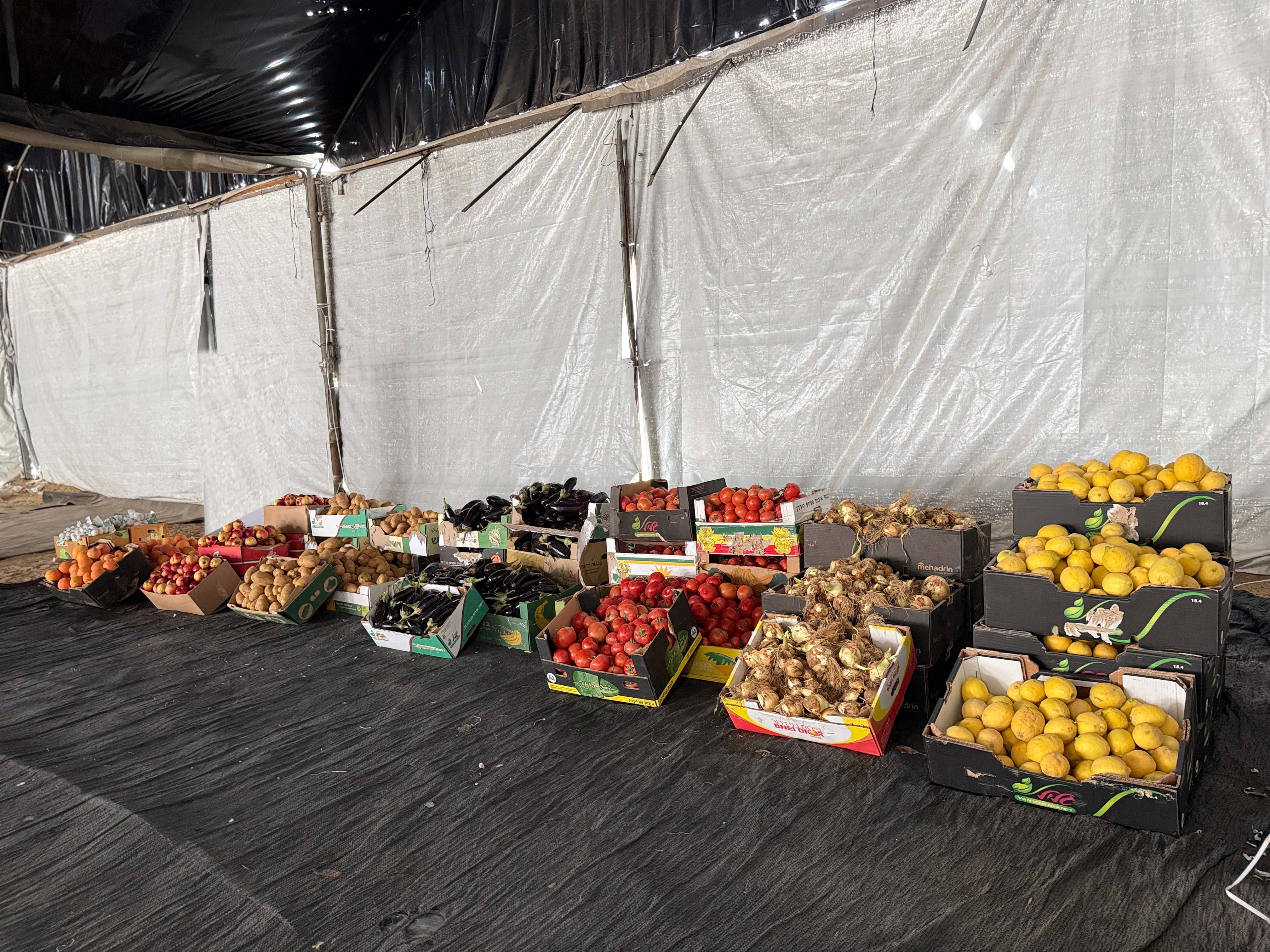 توزيع طرد خضار 